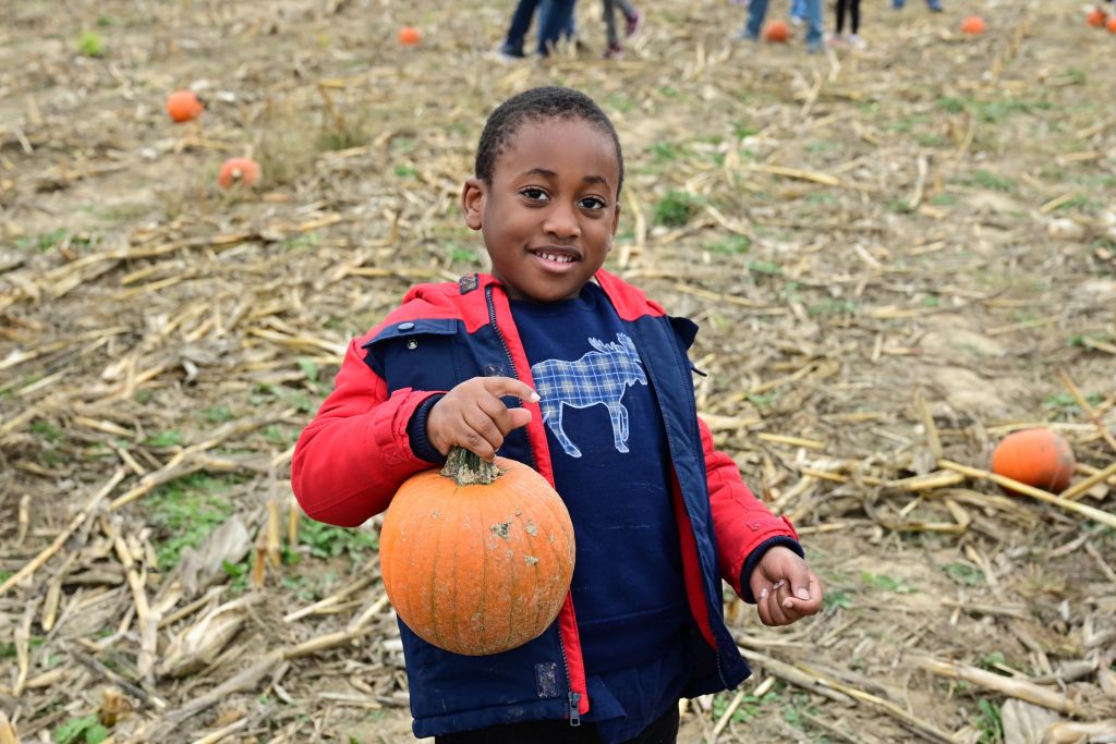 kid with pumpkin in field